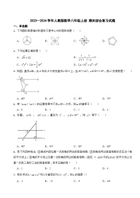 人教版2023—2024学年数学八年级上册 期末综合复习试题