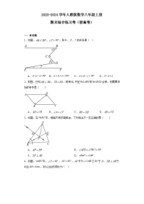 人教版2023-2024学年数学八年级上册期末综合练习卷(拔高卷 含解析)