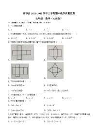 云南省楚雄彝族自治州南华县2022-2023学年七年级上学期期末数学试题(含答案)