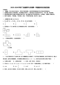 2023-2024学年广东省数学九年级第一学期期末综合测试试题