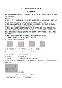 广东省广州市海珠区2023-2024学年九年级上学期期末数学试题(无答案)