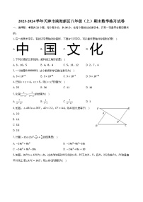 2023-2024学年天津市滨海新区八年级（上）期末数学练习试卷（含解析）