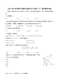 2023-2024学年浙江省嘉兴市桐乡市七年级（上）期末数学试卷（含解析）