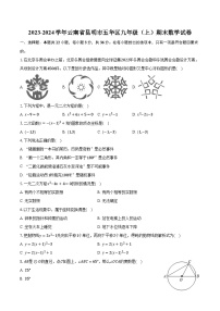 2023-2024学年云南省昆明市五华区九年级（上）期末数学试卷（含解析）