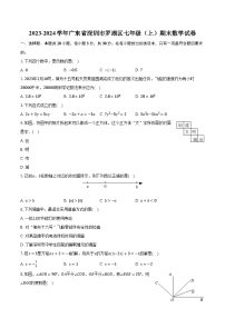 2023-2024学年广东省深圳市罗湖区七年级（上）期末数学试卷（含解析）