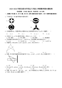 安徽省合肥市庐阳区2023-2024学年八年级上学期期末模拟数学试卷(含答案)