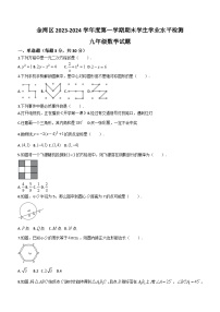 广东省珠海市金湾区2023-2024学年九年级上学期期末数学试题(含答案)