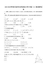 2023-2024学年四川省泸州市泸县重点中学八年级（上）期末数学试卷