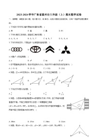 2023-2024学年广东省惠州市八年级（上）期末数学试卷