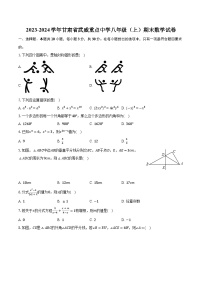 2023-2024学年甘肃省武威重点中学八年级（上）期末数学试卷