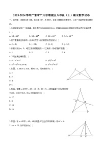 2023-2024学年广东省广州市增城区八年级（上）期末数学试卷
