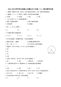 2023-2024学年河北省唐山市遵化市九年级（上）期末数学试卷（含解析）