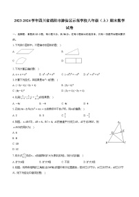 2023-2024学年四川省绵阳市游仙区示范学校八年级（上）期末数学试卷（含解析）