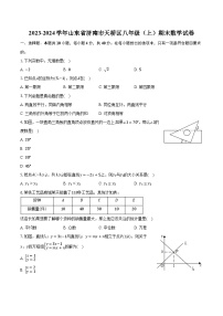 2023-2024学年山东省济南市天桥区八年级（上）期末数学试卷（含解析）