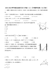 2023-2024学年湖北省黄石市八年级（上）月考数学试卷（12月份）（含解析）