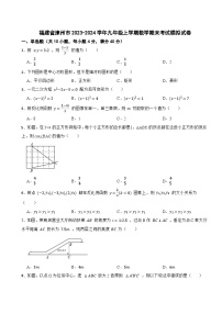 福建省漳州市2023-2024学年九年级上学期数学期末考试模拟试卷