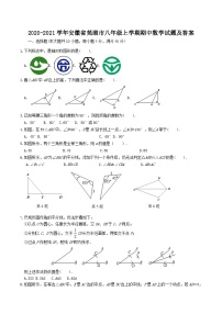 2020-2021学年安徽省芜湖市八年级上学期期中数学试题及答案