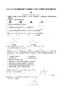 2020-2021学年福建省南平市浦城县八年级上学期期中数学试题及答案