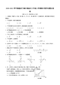 2020-2021学年福建省宁德市福鼎市八年级上学期期中数学试题及答案