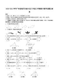 2020-2021学年广东省韶关市新丰县八年级上学期期中数学试题及答案