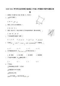 2020-2021学年河北省邯郸市临漳县八年级上学期期中数学试题及答案