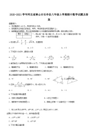 2020-2021学年河北省唐山市乐亭县八年级上学期期中数学试题及答案