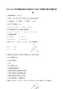 2020-2021学年湖南省岳阳市岳阳县八年级上学期期中数学试题及答案