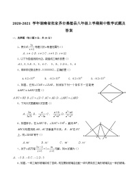 2020-2021学年湖南省张家界市桑植县八年级上学期期中数学试题及答案