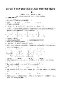 2020-2021学年江苏省南通市海安市八年级下学期期中数学试题及答案