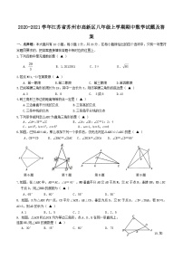 2020-2021学年江苏省苏州市高新区八年级上学期期中数学试题及答案