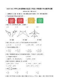 2020-2021学年山东省聊城市冠县八年级上学期期中考试数学试题