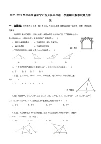 2020-2021学年山东省济宁市金乡县八年级上学期期中数学试题及答案