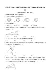 2020-2021学年山东省滨州市阳信县八年级上学期期中数学试题及答案