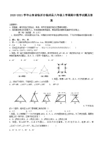 2020-2021学年山东省临沂市临沭县八年级上学期期中数学试题及答案