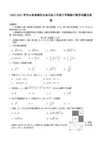 2020-2021学年山东省潍坊市昌乐县八年级下学期期中数学试题及答案