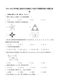 2021-2022学年浙江省温州市苍南县八年级下学期数学期中试题及答案