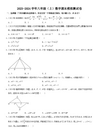 人教版数学2023-2024学年八年级（上）期末考试模拟卷  原卷+解析卷