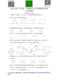 广东省深圳市宝安区宝安中学集团2023-2024学年九年级第一学期期中考试数学