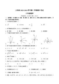 福建省三明市大田县2023-2024学年八年级上学期期中考试数学试卷(含答案)