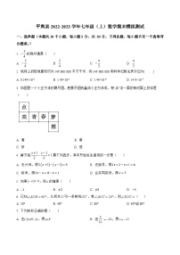 河南省驻马店市平舆县2022-2023学年七年级上学期期末模拟测试数学试卷(含解析)