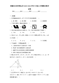 安徽省合肥市蜀山区2023-2024学年八年级上学期期末数学试卷(含答案)