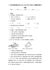 广东省河源市紫金县2023-2024学年七年级上学期期末数学试题(含答案)