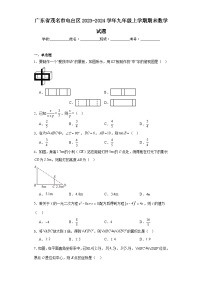 广东省茂名市电白区2023-2024学年九年级上学期期末数学试题(含答案)