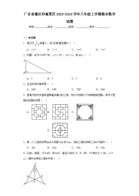 广东省肇庆市高要区2023-2024学年八年级上学期期末数学试题(含答案)