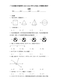 广东省肇庆市高要区2023-2024学年七年级上学期期末数学试题(含答案)