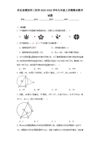 河北省廊坊市三河市2023-2024学年九年级上学期期末数学试题(含答案)