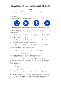 湖北省咸宁市咸安区2023-2024学年八年级上学期期末数学试题(含答案)