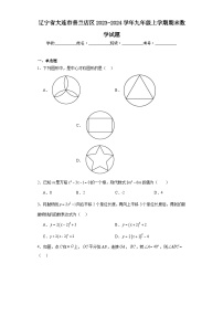 辽宁省大连市普兰店区2023-2024学年九年级上学期期末数学试题(含答案)