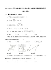 2022-2023学年山东省济宁市金乡县八年级下学期期中数学试题及答案