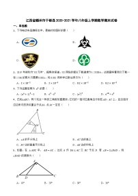 江西省赣州市于都县2020-2021学年八年级上学期数学期末试卷